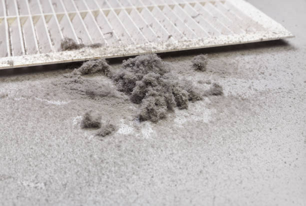 Best Best Air Duct Cleaning Company  in Birch Run, MI