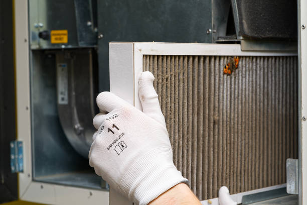Best Ductwork Cleaning Services  in Birch Run, MI