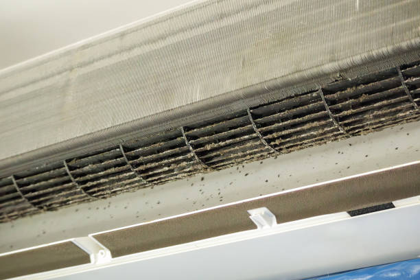 Best HVAC Maintenance and Cleaning  in Birch Run, MI