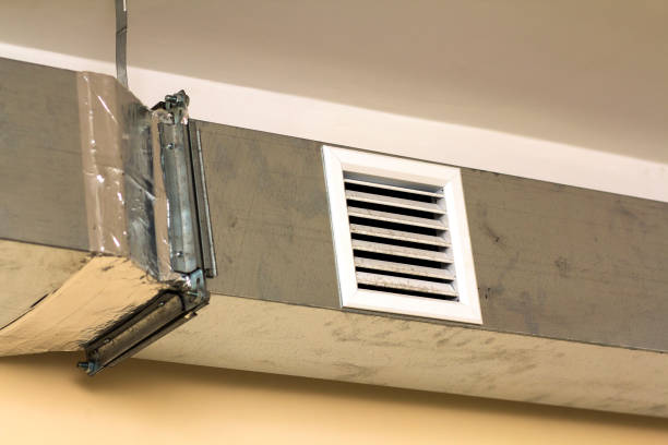 Best Dryer Vent Cleaning Services  in Birch Run, MI